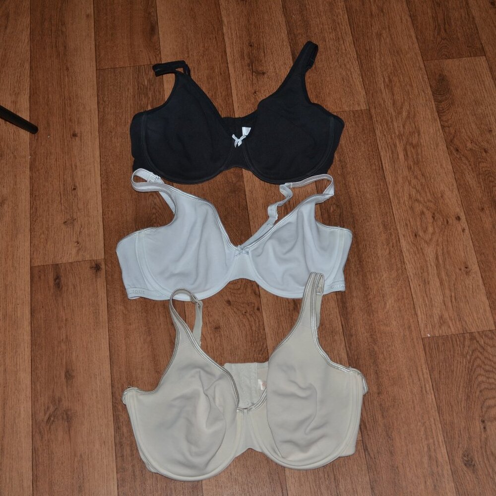 3 Cacique (Lane Bryant) Bras  40DD